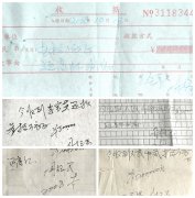 <b>吉林长春：“蓝星”是怎样走上陨落之路的？</b>