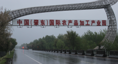黑龙江肇东产业园里建“牛市”破坏土地10多万平米无