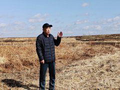 黑龙江桦南：荒地变沃土后开荒成果竟然
