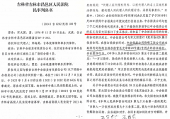吉林一起拍卖纠纷引发同案不同判审限超期与刑民交