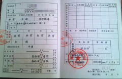 海南一“公章之争”背后：虚假诉讼、假证风波